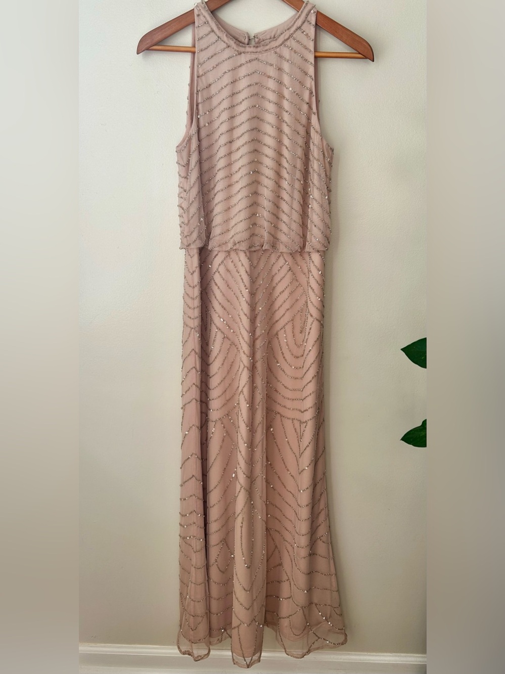Adrianna Papell Blush Beaded Sleeveless Maxi Dress